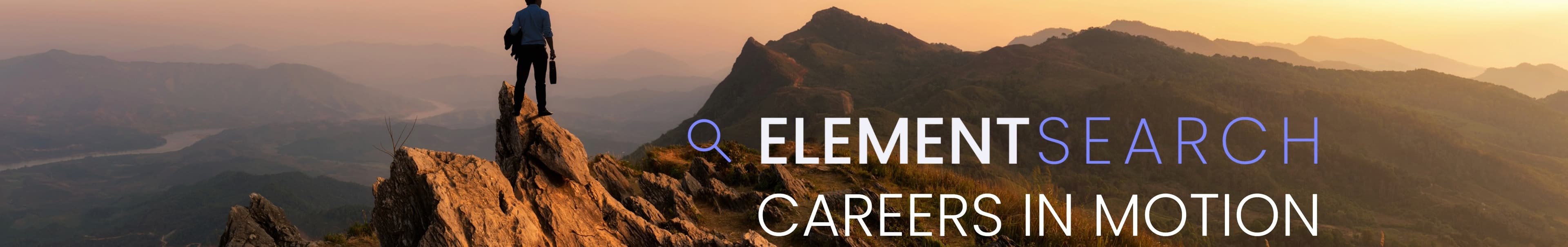 ELEMENT SEARCH